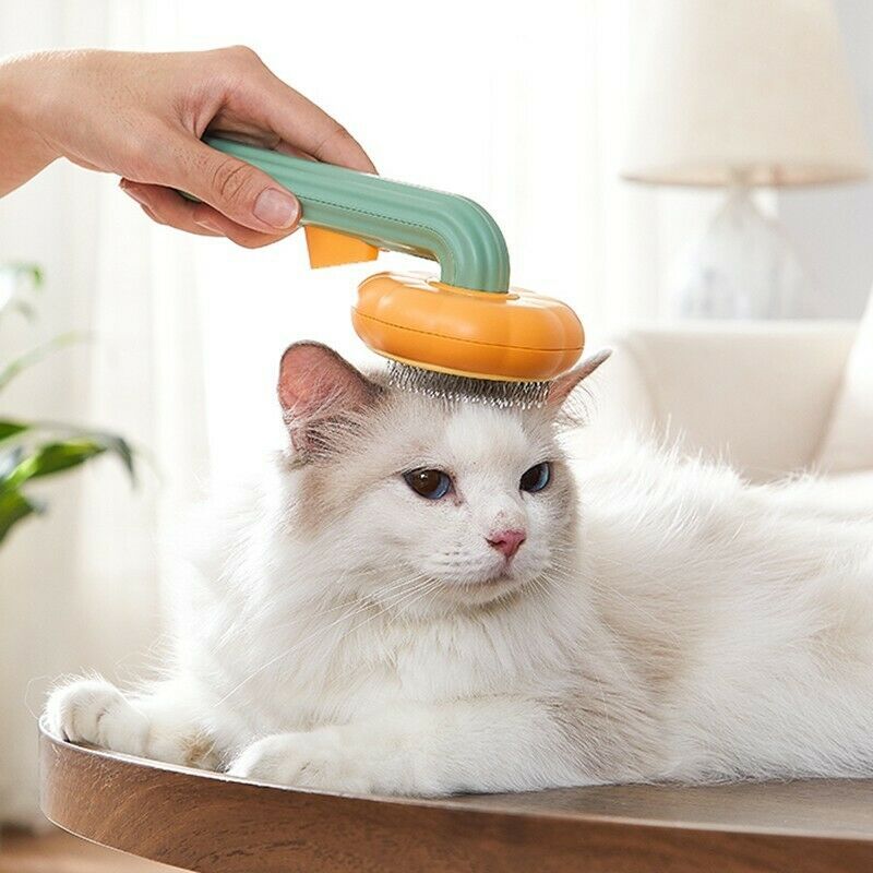 Pumpkin Pet Brush