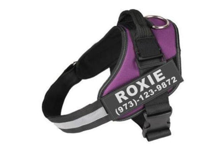 Personalized Custom Reflective Breathable Dog Harness