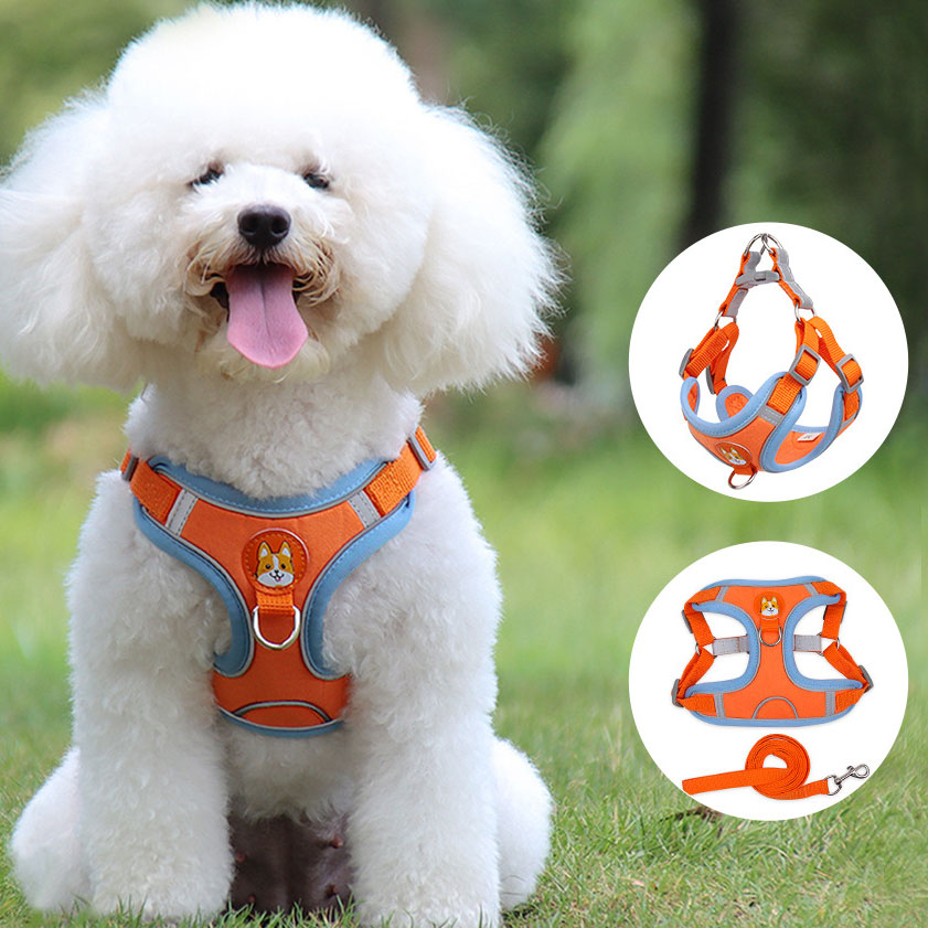 Dog Harness