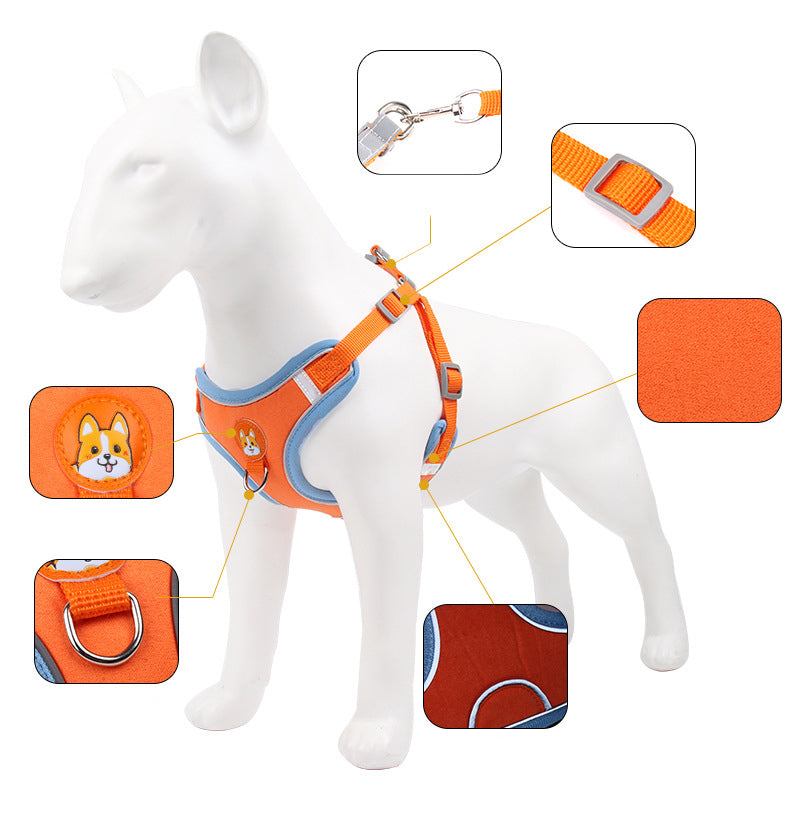 Dog Harness